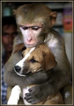 Que c'est beau l amour ....